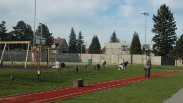 2. stupeň - Den Země: 24.4.2012