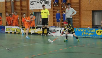 Florbal s roztleskávačkami - 22.1.2014