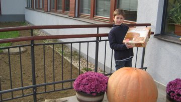 Dýně - 31.10.2014