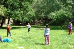 Frisbee