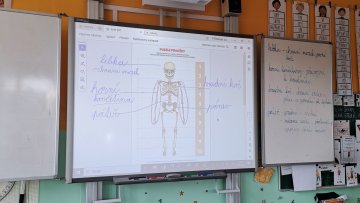 Zkoumáme kostru těla