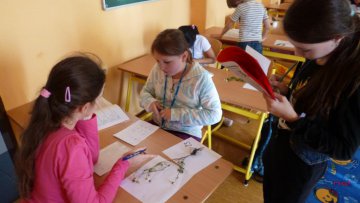 Poznáváme byliny - druh kořene, stonku, listů