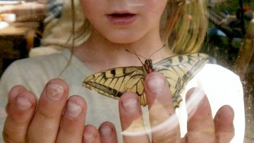 Domácí výuka po dobu uzavření ZŠ Kunratice - důležité informace